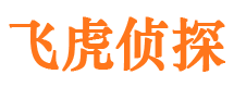 永福市侦探调查公司